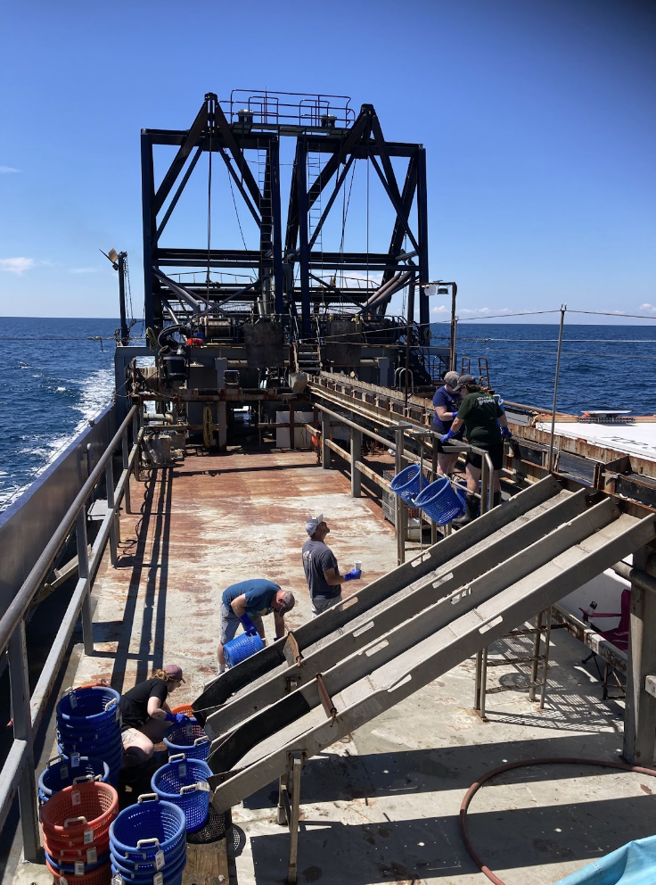 Photo aboard a boat with sorting ramps for quahogs and other shellfish. credit: karlee liddy. 